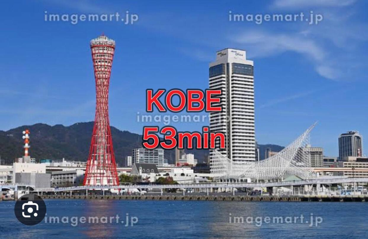 Two-storey House Vacation 天下茶屋 Apartment